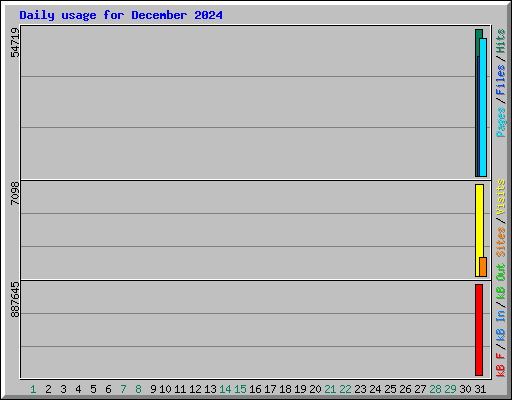 Daily usage for December 2024