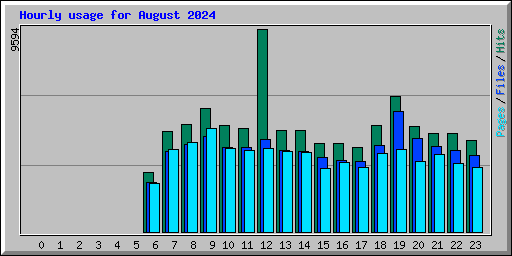 Hourly usage for August 2024