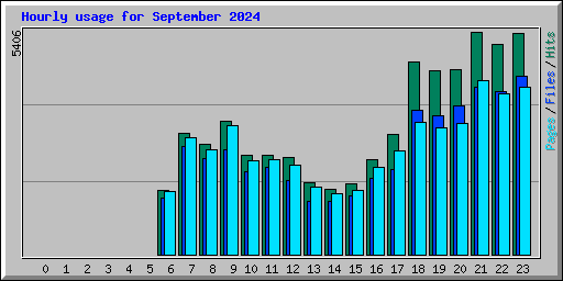 Hourly usage for September 2024