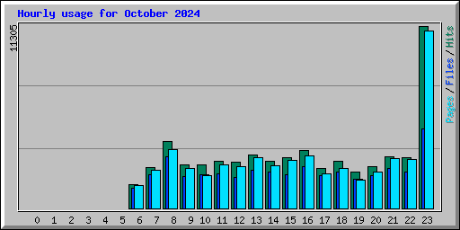Hourly usage for October 2024