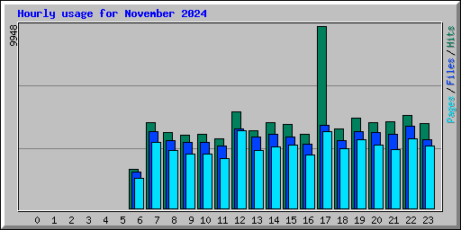 Hourly usage for November 2024