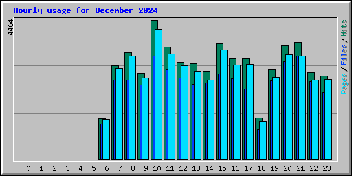 Hourly usage for December 2024