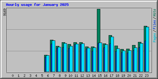 Hourly usage for January 2025