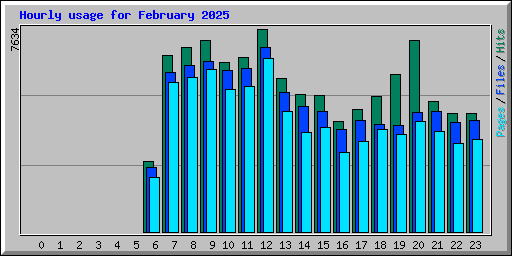 Hourly usage for February 2025